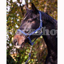 CLASSIC HEADCOLLAR PONY BLUE CLASSIC HEADCOLLAR PONY BLUE