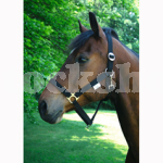 CLASSIC HEADCOLLAR PONY BLACK CLASSIC HEADCOLLAR PONY BLACK