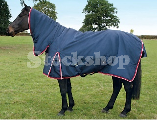 ESSENTIALS 100G COMBO TURNOUT RUG 6'0Inch ESSENTIALS 100G COMBO TURNOUT RUG 6'0Inch