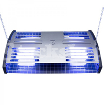 Flies & Insects Flies & Insects