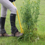 Weed Control Forks
