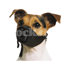 Nylon Mesh Muzzle Nylon Mesh Muzzle