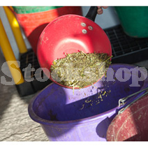 Feed Scoops Feed Scoops