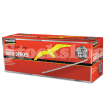 Birds Birds