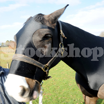 Equine Apparel