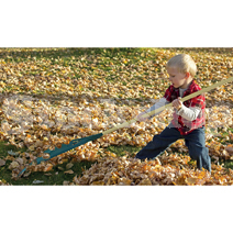 Rakes Rakes