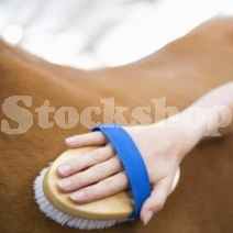 Brushes & Combs Brushes & Combs