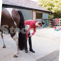 Hoof Picks Hoof Picks