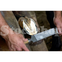 Farrier Tools Farrier Tools