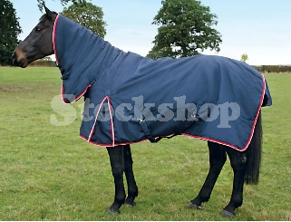 100G Turnout Combo Rug