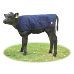 CALF COAT STANDARD 70CM