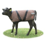 CALF COAT PREMIUM 75CM