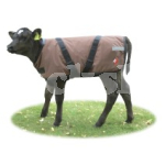 CALF COAT PREMIUM 65CM