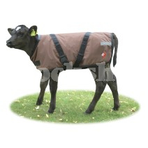 CALF COAT PREMIUM 65CM CALF COAT PREMIUM 65CM