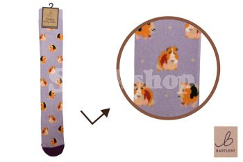 BARTLEBY® FUNKY WELLY SOCK 4-8 GUINEA PIG BARTLEBY® FUNKY WELLY SOCK 4-8 GUINEA PIG